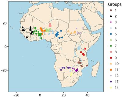 The Empirical Distribution of Singletons for Geographic Samples of DNA Sequences